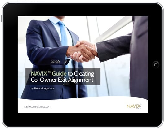Guide to Creating Co-Owner Exit Alignment (eBook)